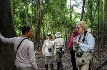 4-Day Amazon Jungle Expedition Cruise on La Perla