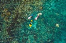 Magnetic Island Discovery Tour with Snorkeling & Paddle Boarding