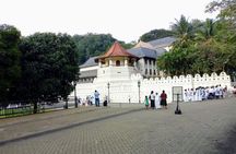 Visit Sigiriya, Dambulla and Kandy - 02 Days, All Inclusive.