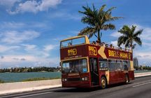 Miami Highlight: Millionaire's Row Bay Cruise & Open-top Bus Tour