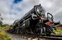 York City Pass: Access 35+ Attractions for One Great Price