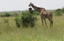 Private Full-Day Tour To Hell's Gate Biking and Lake Naivasha from Nairobi