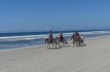 Afro-Mexican Village: Horseback Beach Ride, Crocs & Cliff Diver