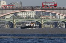 Harry Potter Black Taxi Private Tour of London with Hotel Pickup