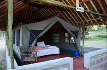 3 days group joining safari to Masai Mara with a Land CruiserJeep