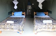 3 days group joining safari to Masai Mara with a Land CruiserJeep