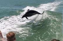 Myrtle Beach Dolphin Cruise