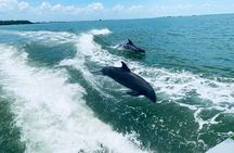 Myrtle Beach Dolphin Cruise