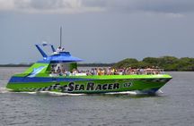 Myrtle Beach Dolphin Cruise