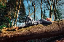 Half-day Forest Bathing and Yoga in Brighton's Woodlands
