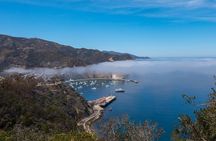 2 hour Inside Adventure Tour on Catalina Island