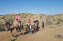 Nurata Mountain & Kyzyl-kum Desert 3 Day Tour From Samarkand or Bukhara