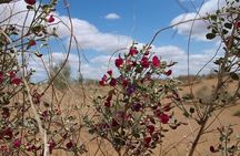 Nurata Mountain & Kyzyl-kum Desert 3 Day Tour From Samarkand or Bukhara