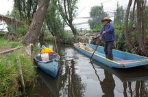 The City Green Exploring the Urban Eco Reserve of Xochimilco