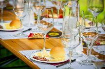 Guided Tour and wine tasting 5 wines to discover the Conegliano Valdobbiadene