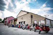 Guided Tour and wine tasting 5 wines to discover the Conegliano Valdobbiadene