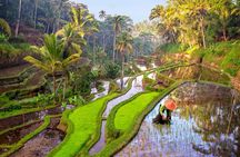 Full-Day in Bali: Private Custom Tour by Minibus
