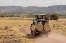 7 Days Private Tanzania Safari 