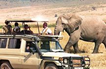 7 Days Private Tanzania Safari 