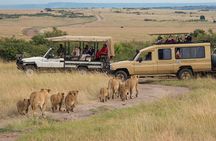 7 Days Private Tanzania Safari 