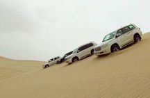 Doha Layover Desert Safari, Camel Ride, Sand Boarding, Inland Sea