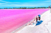 Flamingo Sightseeing Pink Lake Tour and Rio Lagartos Boat Ride