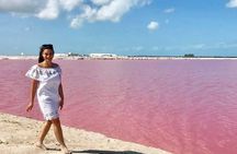 Flamingo Sightseeing Pink Lake Tour and Rio Lagartos Boat Ride