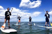 Private Stand Up Paddleboarding (SUP) Class at Kalama Beach in Kihei