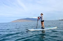 Private Stand Up Paddleboarding (SUP) Class at Kalama Beach in Kihei