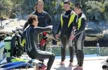 Rio's Best Dive Experience All Inclusive Scuba Diving Package!