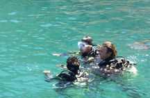 Rio's Best Dive Experience All Inclusive Scuba Diving Package!