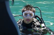 Rio's Best Dive Experience All Inclusive Scuba Diving Package!