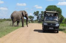 All Inclusive 2 Day Kruger Safari from Johannesburg