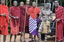 3-Day at Dar es Salaam To Selous GR (Nyerere NP) Game, Boat & Walking Safari 