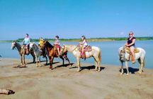  Gentle Paradise Lonely Beach Horseback Ride & Afro-Mex Village