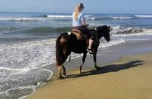  Gentle Paradise Lonely Beach Horseback Ride & Afro-Mex Village