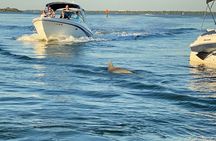 Private ONLY Dolphin Boat Tours