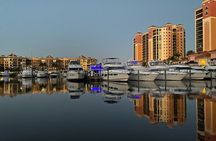 Private ONLY Dolphin Boat Tours