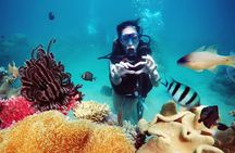 Private Snorkeling Tour Nha Trang Included Lunch And Snorkel Gear