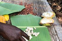 Waterfalls, Aburi Botanical Gardens and a Cocoa Farm Experience.