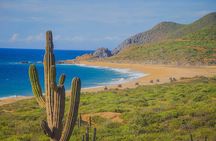 Los Cabos ATV Tour Single Rider
