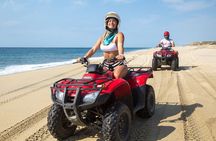 Los Cabos Combo: ATV + Horseback Riding
