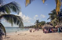 Tulum Ruins, Turtle Sighting and Underground Caves