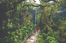 Active Volcano Adventure Tour