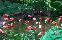Private Beach Day/Guided TourThrough New Providence Island