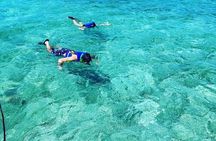 Small-Group Snorkeling Experience at Sea Garden