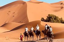 Overnight stay in desert camp & Camel trekking in the Sahara