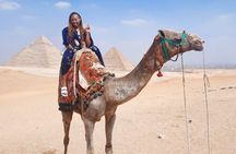 2-hour private Camel /Horse ride around Giza pyramids 