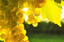 Rhodes Wine & Food Tour: 10 Meal Course Lunch, Wine Tasting, Cooking Class 