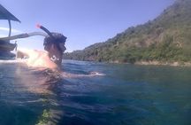 5 Hours Bali Blue Lagoon Snorkeling Tour Including Tanjung Jepun